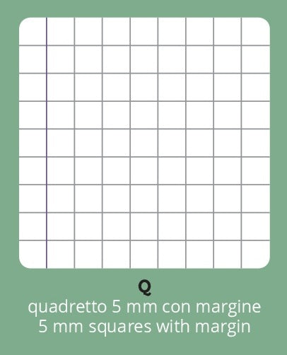 Quaderni 100gr. ALTA FOLIAZIONE (96Pagine) MASCHIO