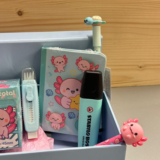 Box In fondo al Mar 🌊