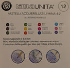 Pastelli Acquerellabili Tinta Unita 12 pezzi con pennello